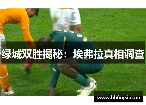 绿城双胜揭秘：埃弗拉真相调查